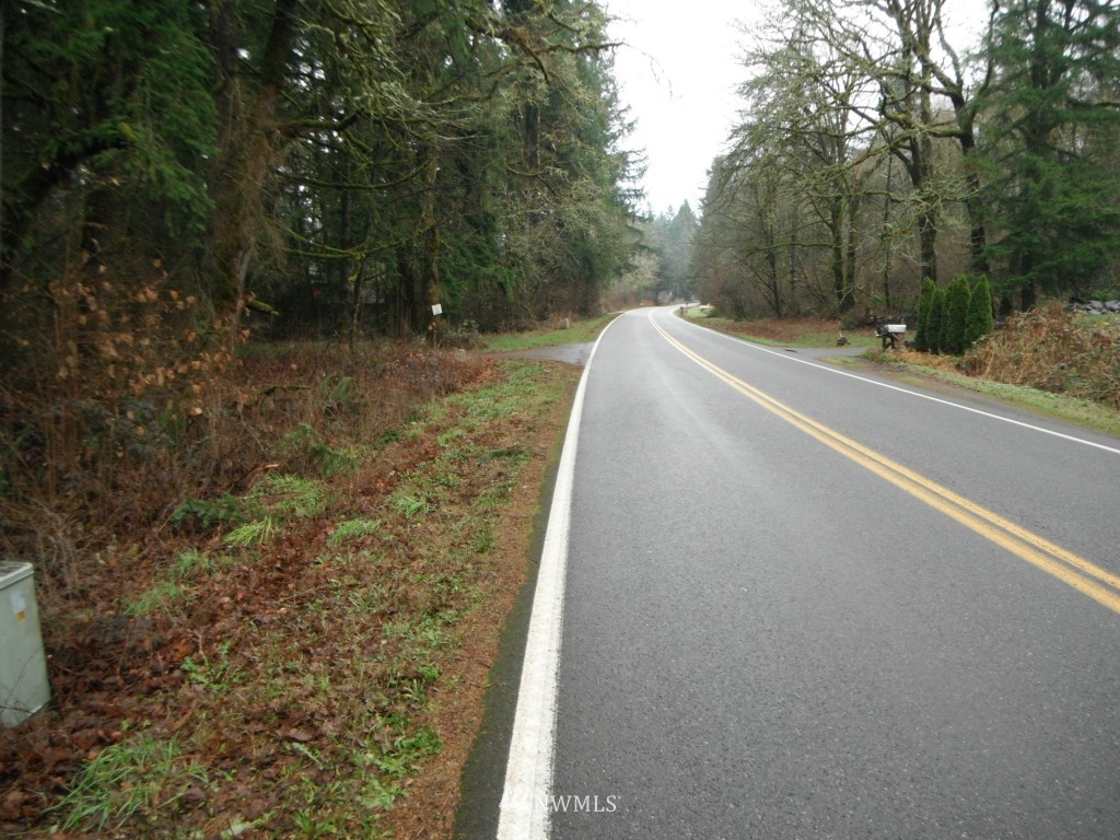 17035 Sargent Road Southwest Rochester, WA 98579 - Photo 6 of 13