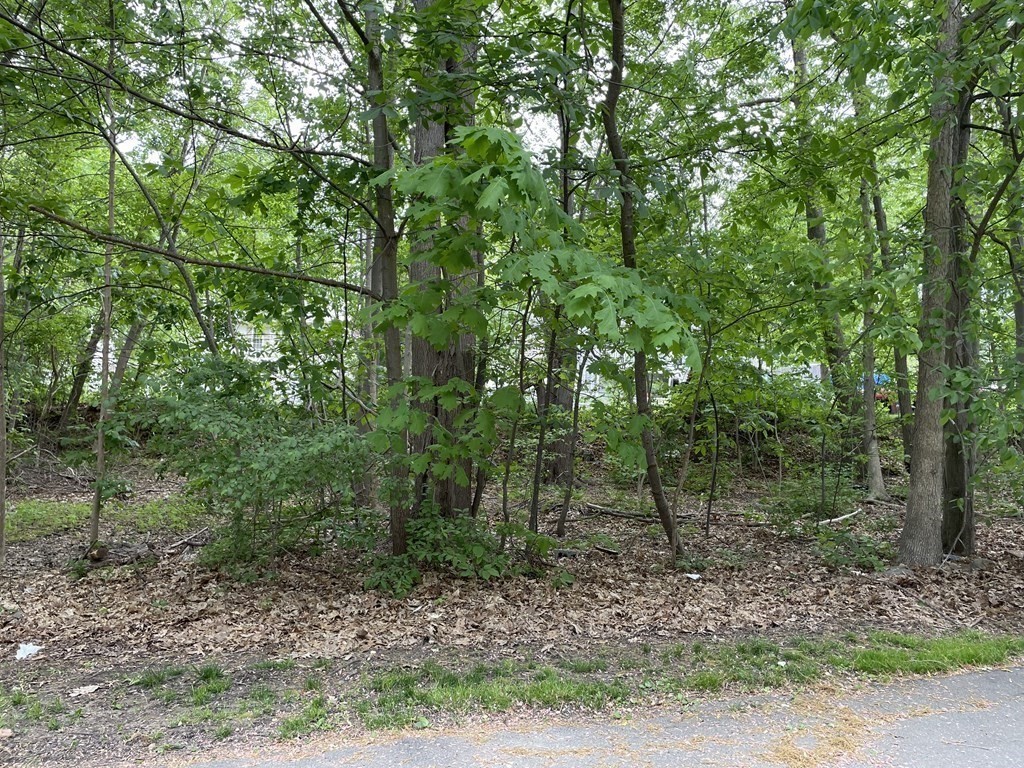 41 Brandon Road Haverhill, MA 01832 - Photo 6 of 17 Gallery Image 6