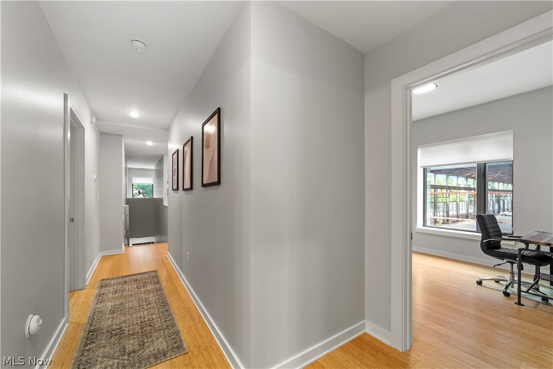 2044 Random Road, Unit 101 Cleveland, OH 44106 - Photo 23 of 44 Corridor with light hardwood / wood-style floors and a wealth of natural light