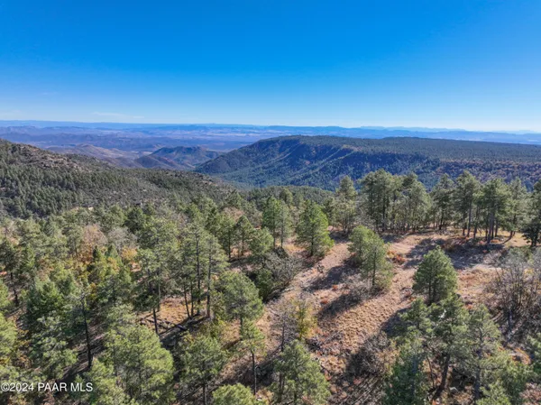 a view of a city with lush green forest