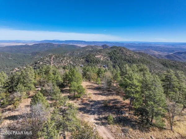 a view of a city with lush green forest