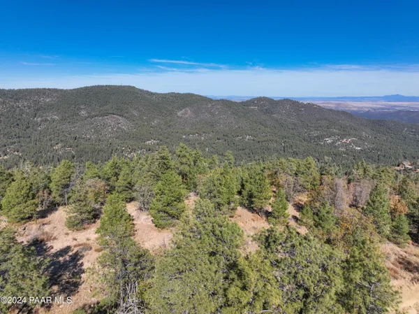 a view of a mountain range with trees