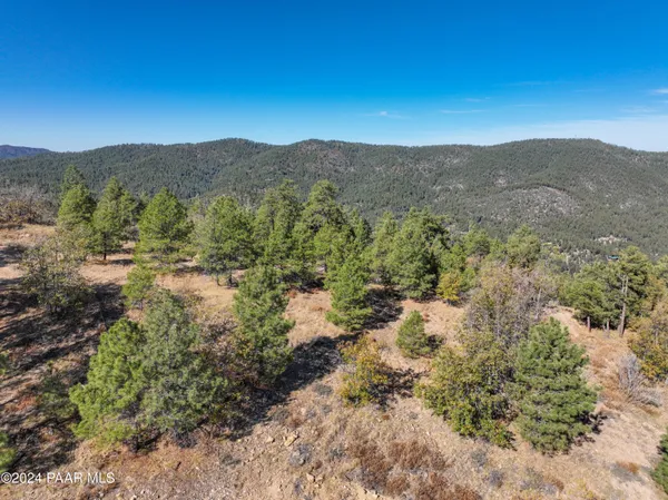 a view of a large mountain with trees in the background