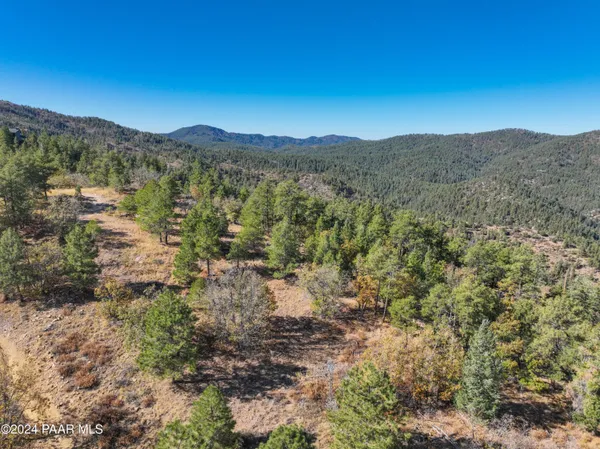 a view of a forest with mountains in the background