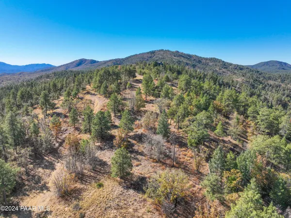 a view of a city with lush green forest
