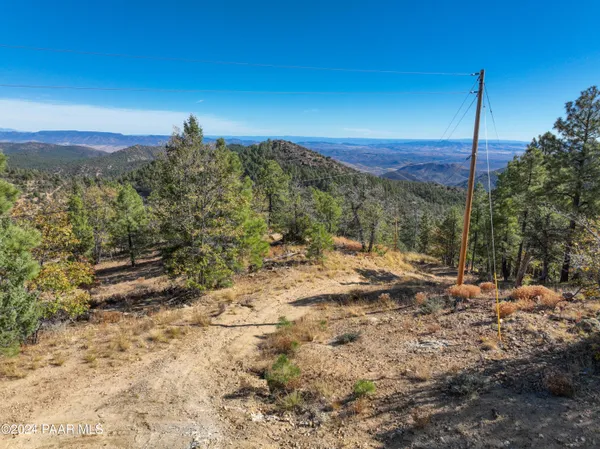 a view of a dry yard with trees