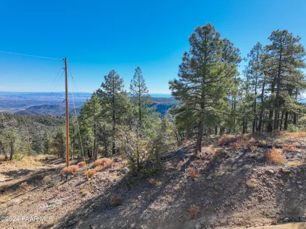 a view of a wooden fence under a large tree