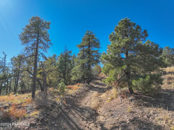 a view of a yard with an outdoor space