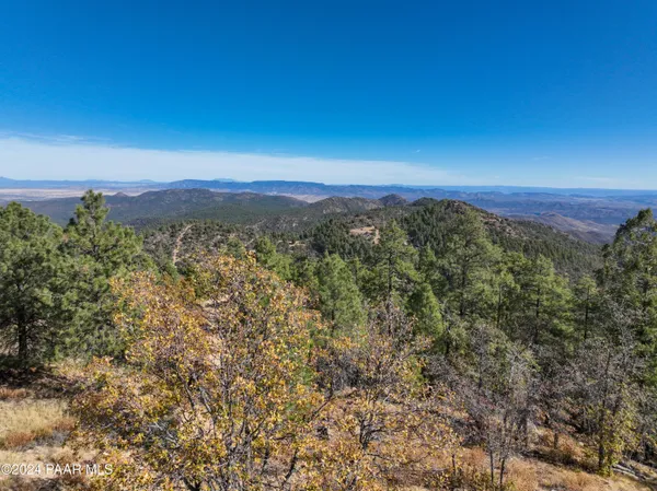 a view of a city with lush green forest