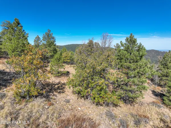 a view of a yard with a tree in the background