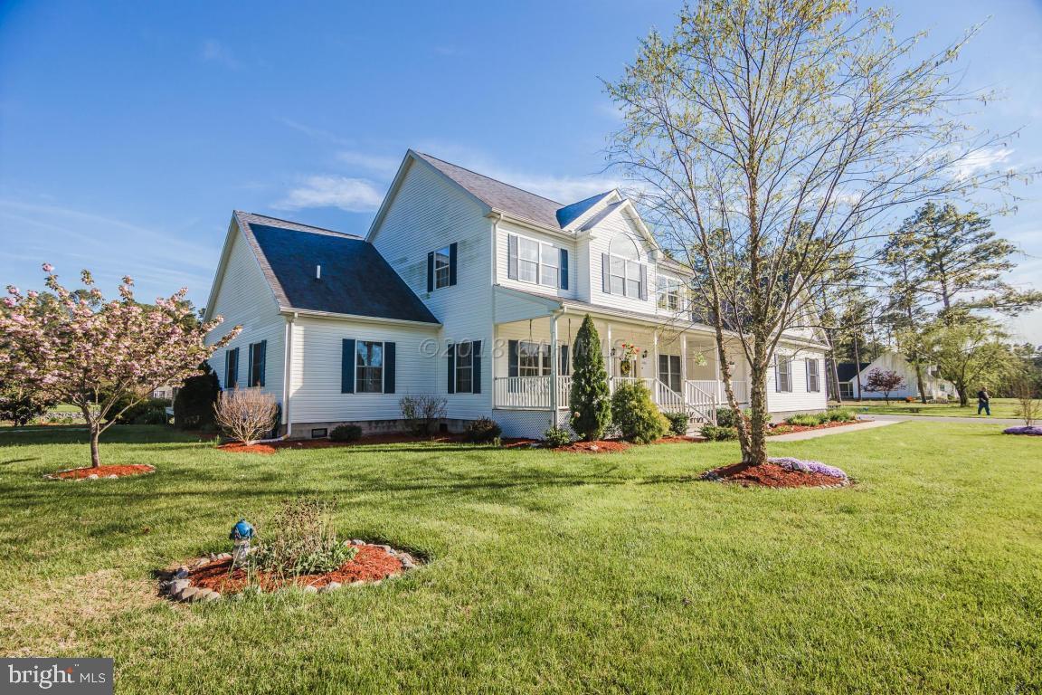 Large Yard