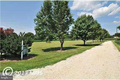 14445 Rock Point Road Newburg, MD 20664 - Photo 2 of 19 Driveway
