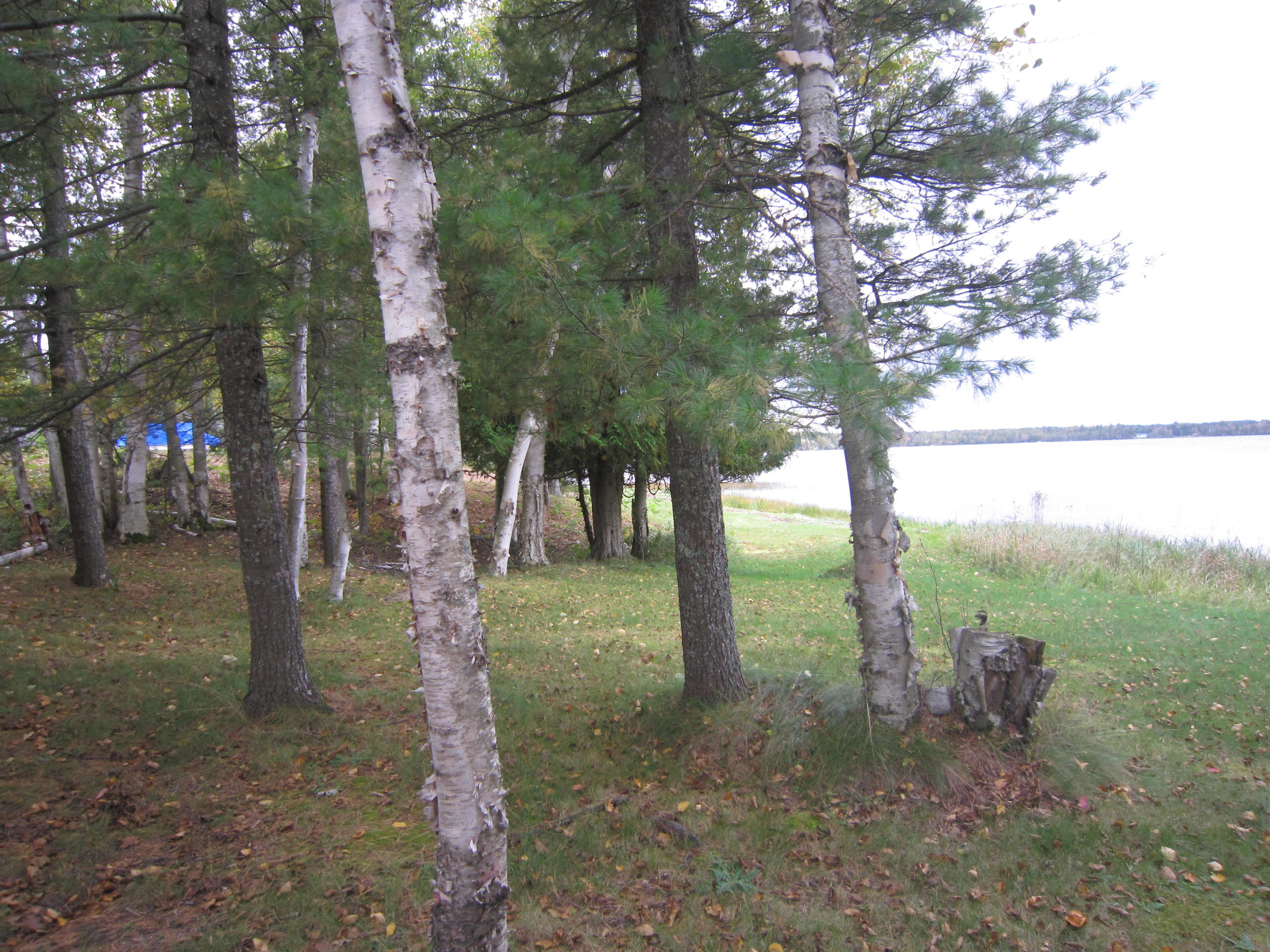 676 West Gulliver Lake Road Gulliver, MI 49840 - Photo 6 of 16 Gallery Image 6
