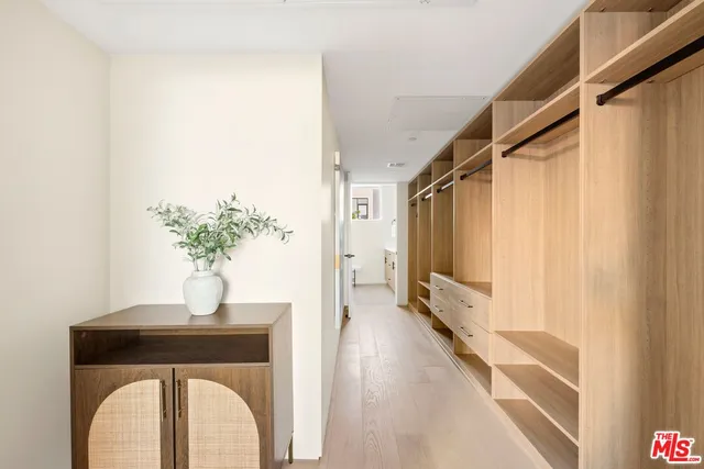 a hallway with a potted plant on the counter and a mirror