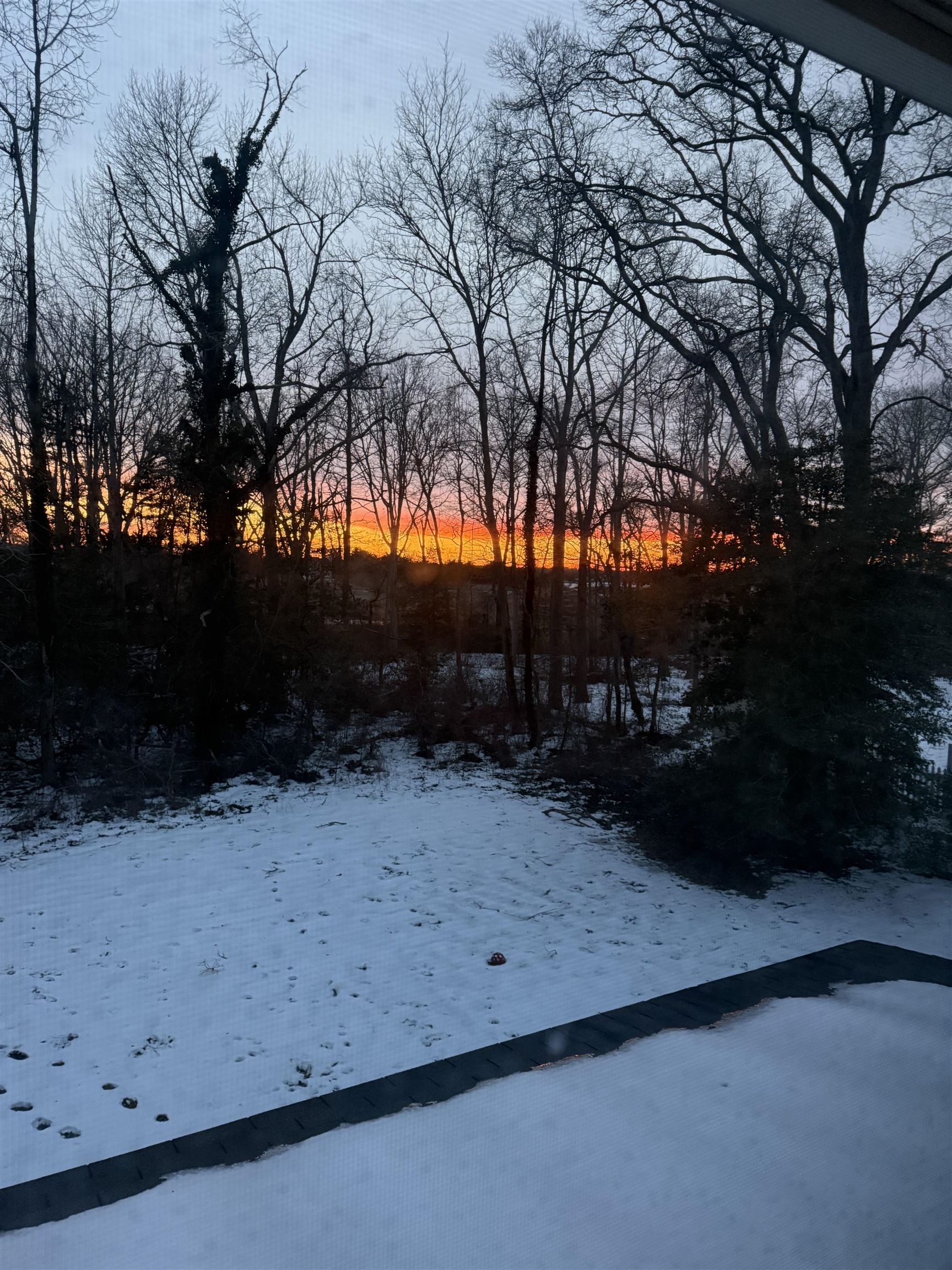 510 Portsmouth Road Cape May, NJ 08204 - Photo 17 of 18 a view of outdoor space and yard
