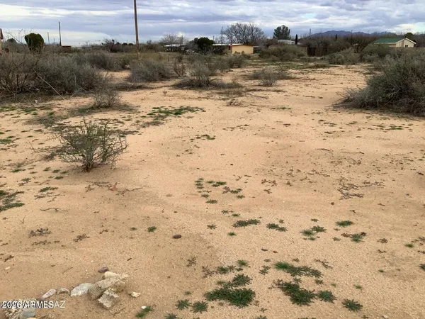a view of a beach with a snow on the beach