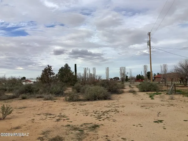 a view of a dry yard with lots of bushes