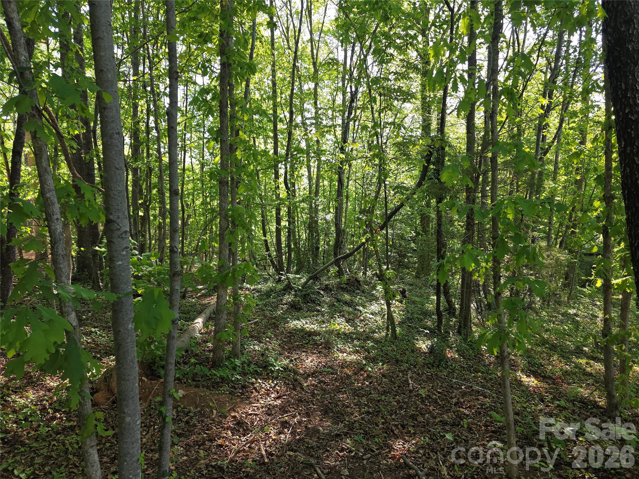 55 Cypress Road Marion, NC 28752 - Photo 35 of 38