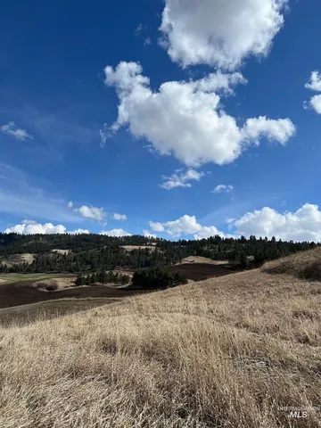 $99,000 | Nka Raven Drive, Culdesac, ID 83524