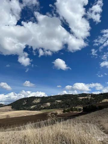 $99,000 | Nka Raven Drive, Culdesac, ID 83524