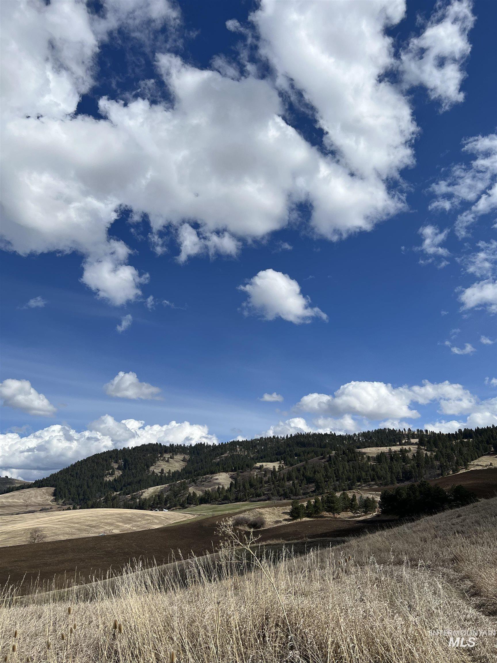 Nka Raven Drive Culdesac, ID 83524 - Photo 18 of 20