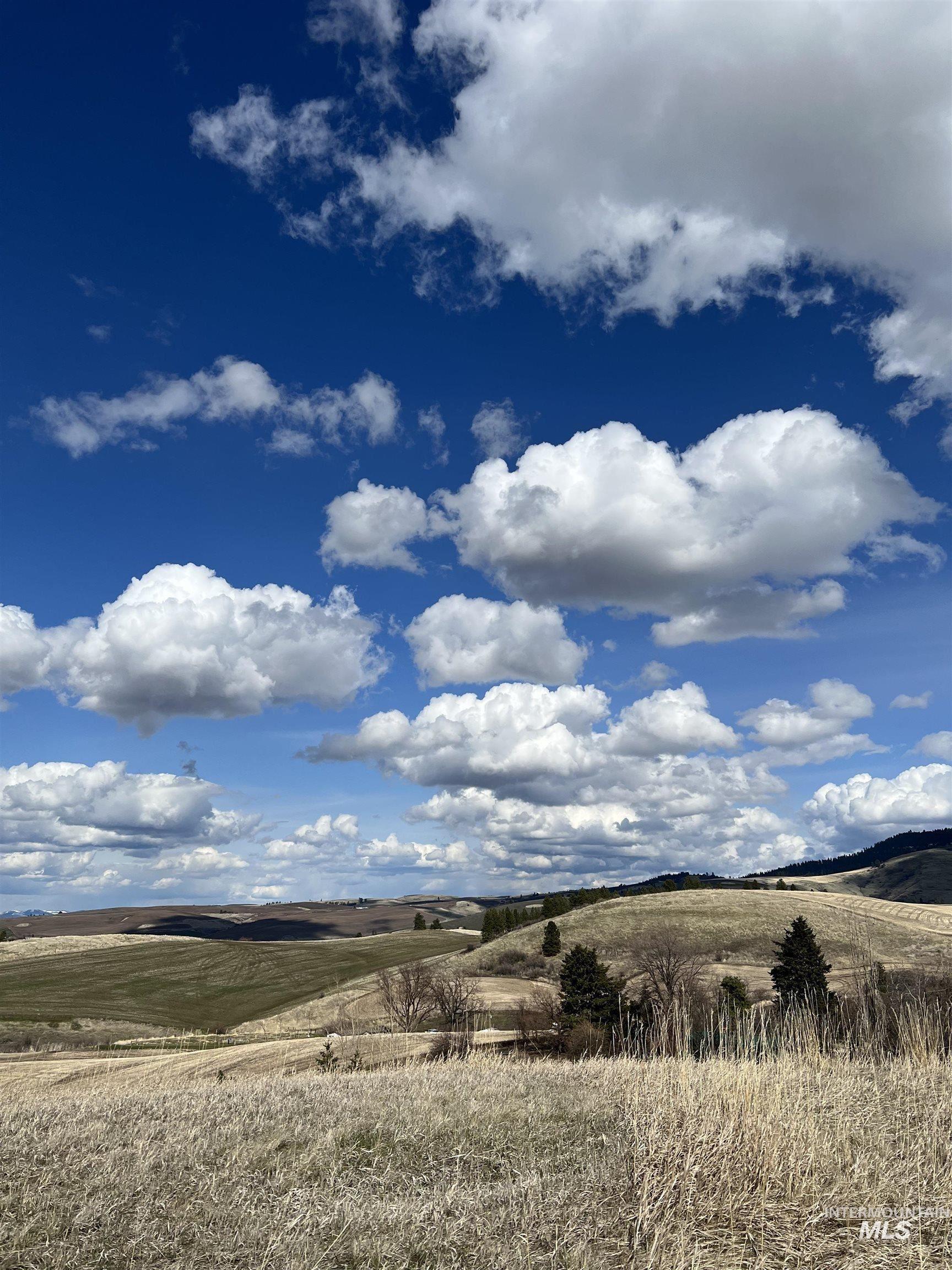 Nka Raven Drive Culdesac, ID 83524 - Photo 19 of 20