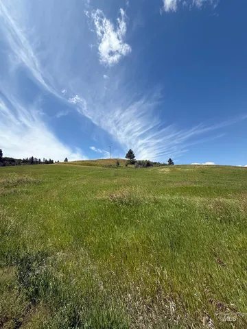 $99,000 | Nka Raven Drive, Culdesac, ID 83524