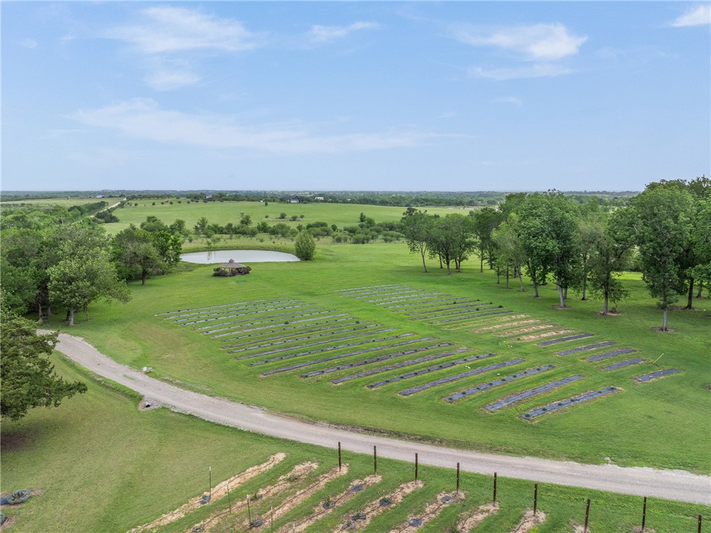 2250 Dillard Road Washington, TX 77880 - Photo 30 of 50 a view of a field with an ocean