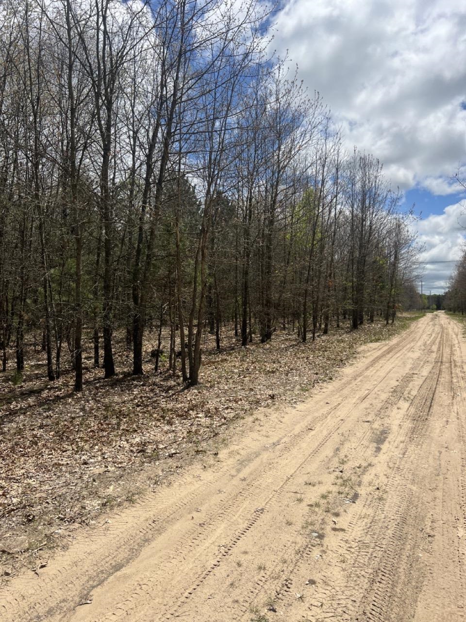 14 Mile Road Mesick, MI 49668 - Photo 4 of 5