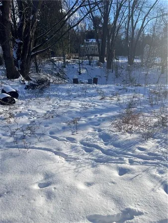 a view of the backyard space