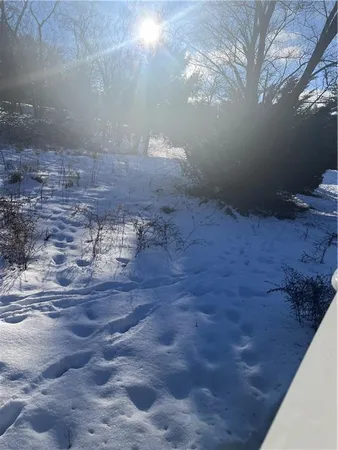 a view of a backyard of the house