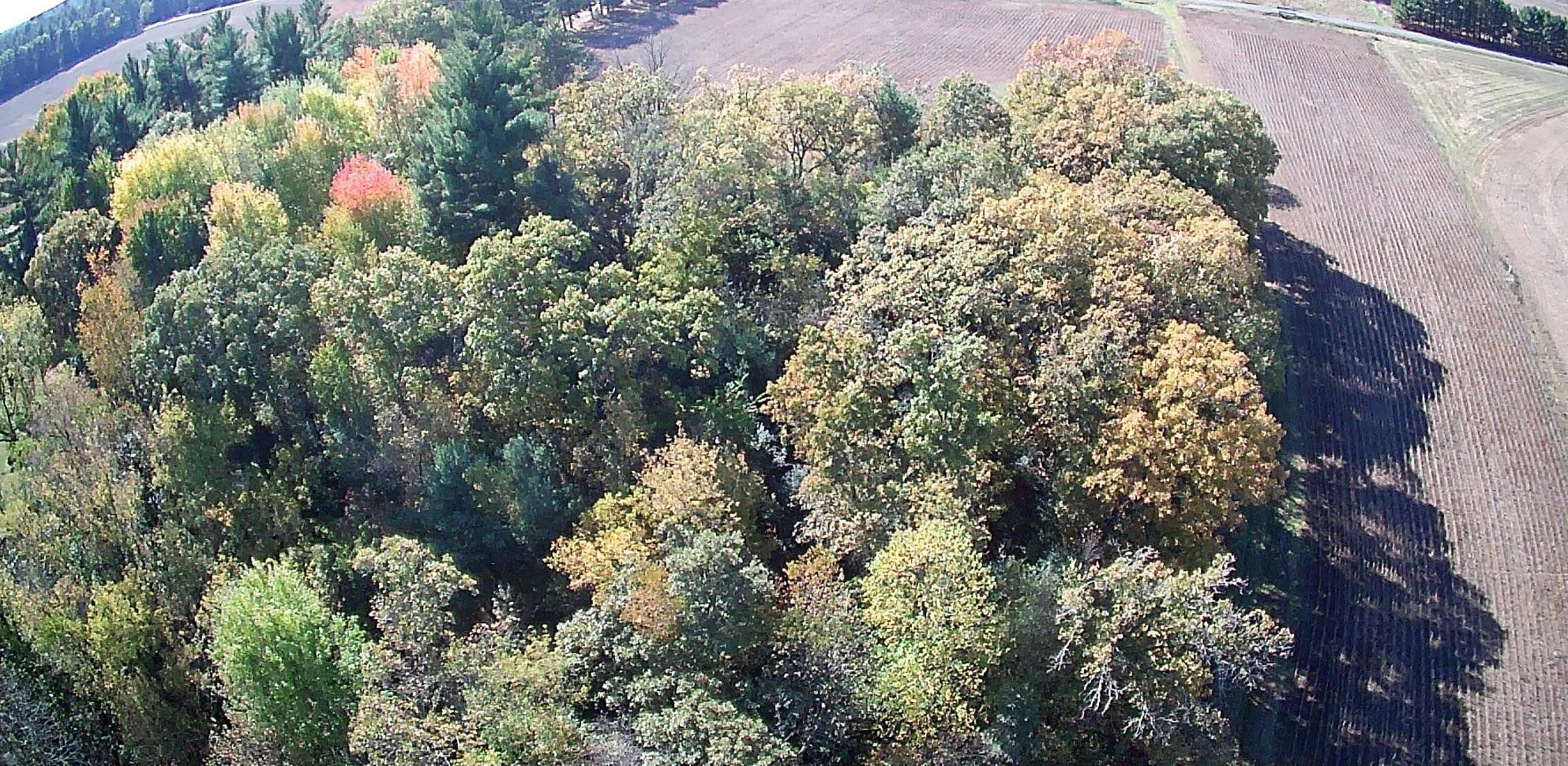 N2784 9th Avenue Hancock, WI 54943 - Photo 70 of 72