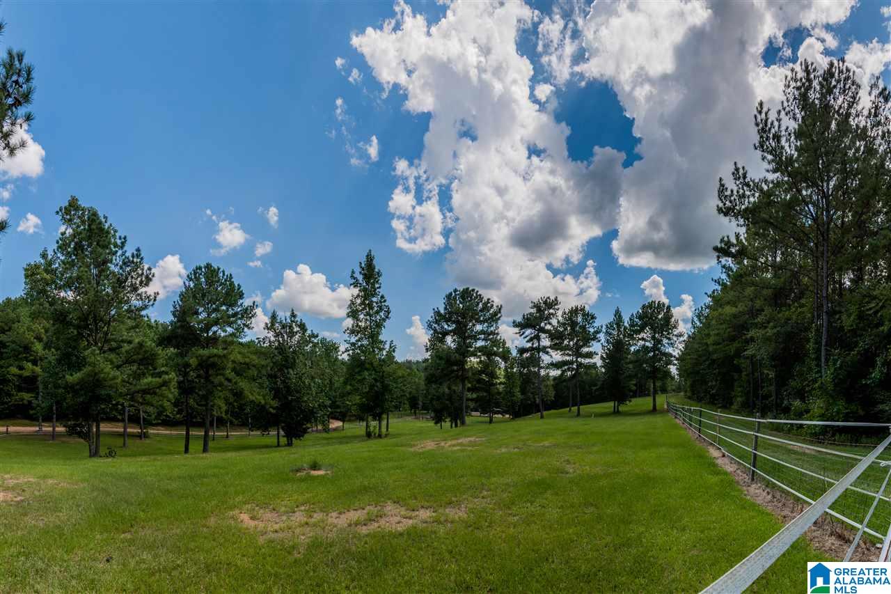 307 Clarecastle Lane Vincent, AL 35178 - Photo 5 of 31
