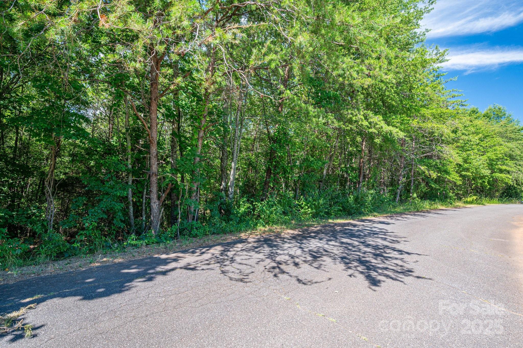 Lot 7 Meadow Crossing Drive Rutherfordton, NC 28139 - Photo 12 of 15 a view of a dirt road with trees in the background