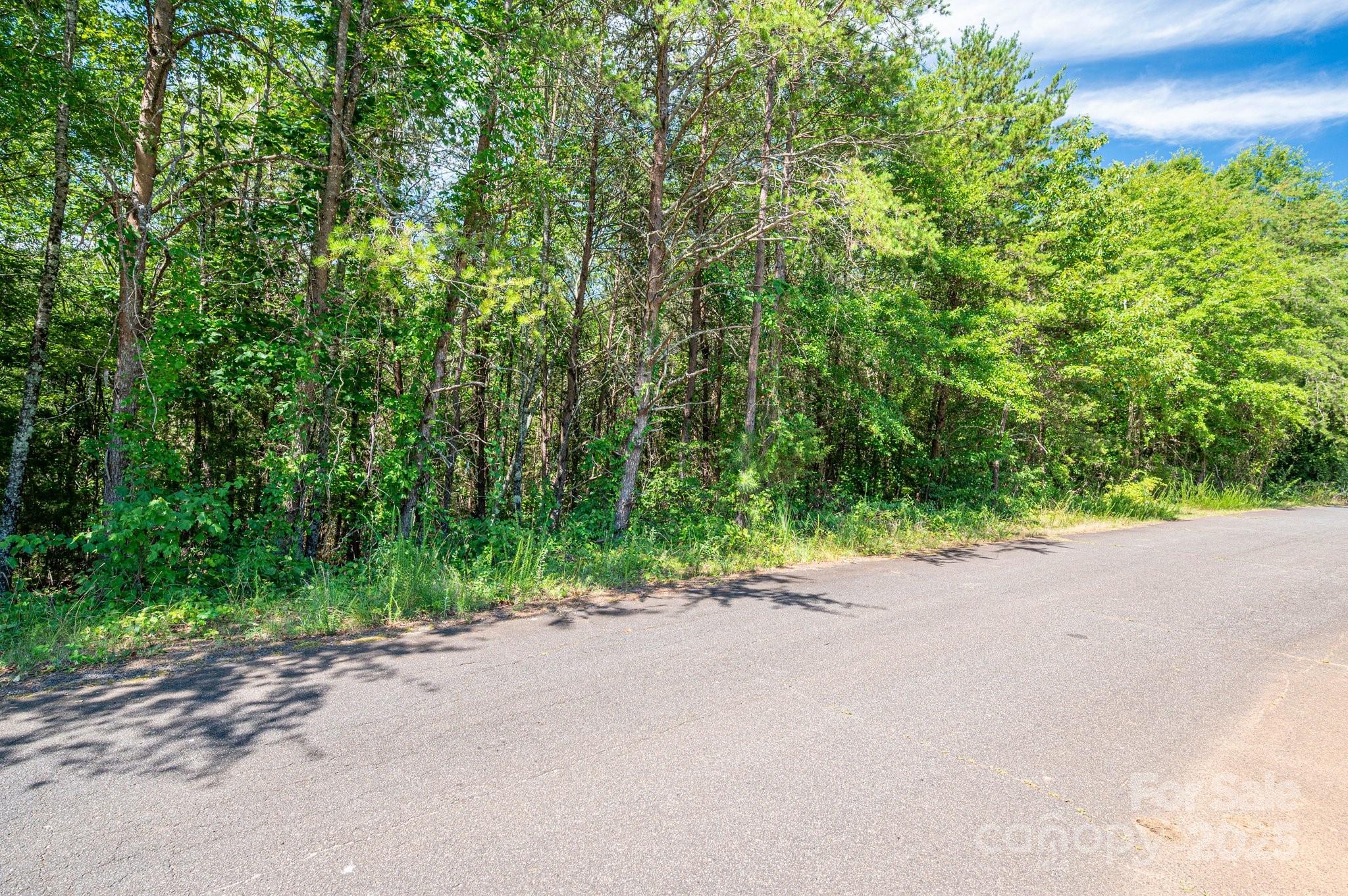 Lot 7 Meadow Crossing Drive Rutherfordton, NC 28139 - Photo 14 of 15 a view of a street with a trees