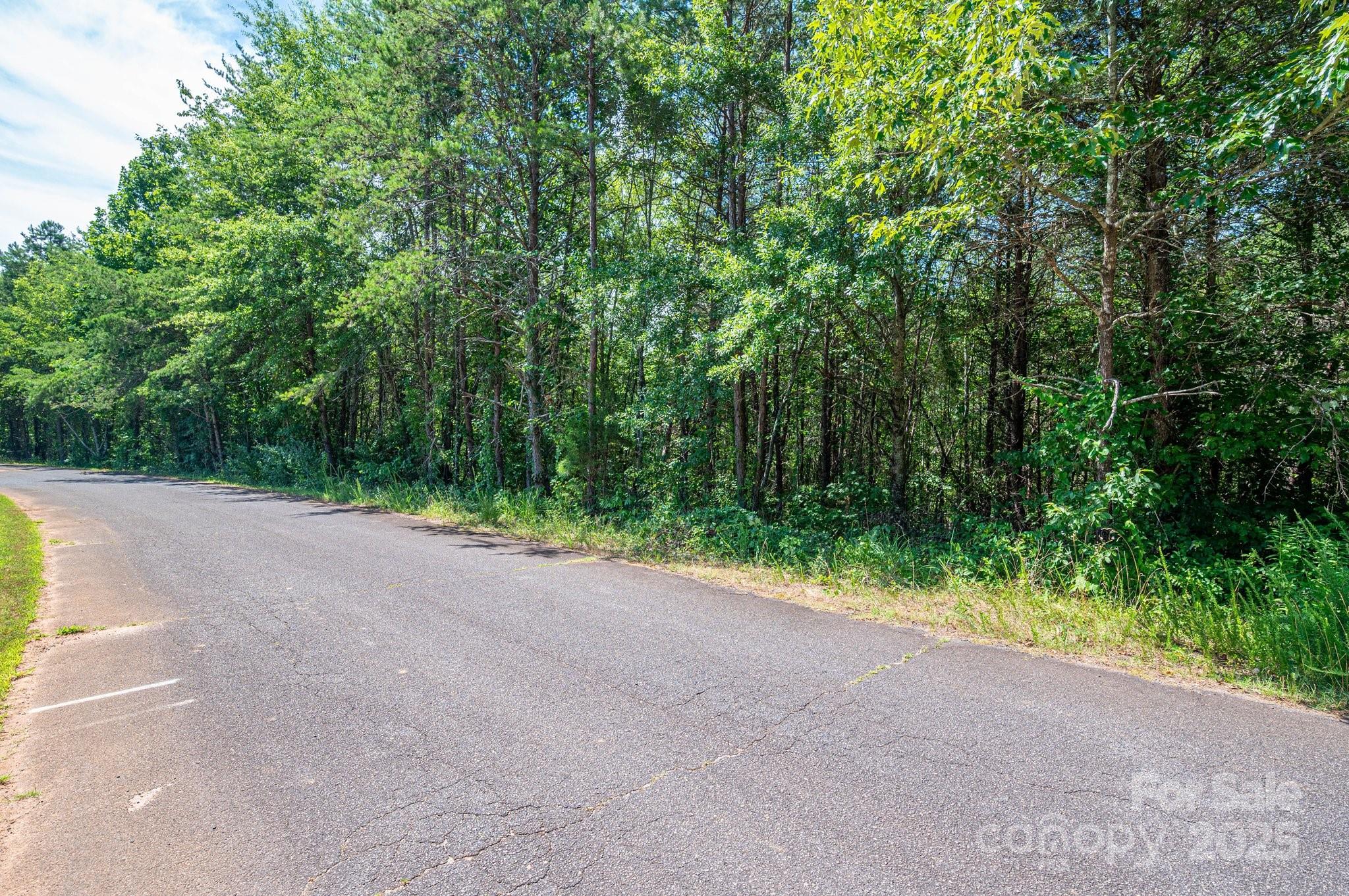 Lot 7 Meadow Crossing Drive Rutherfordton, NC 28139 - Photo 15 of 15 a view of a field with plants and trees in the background
