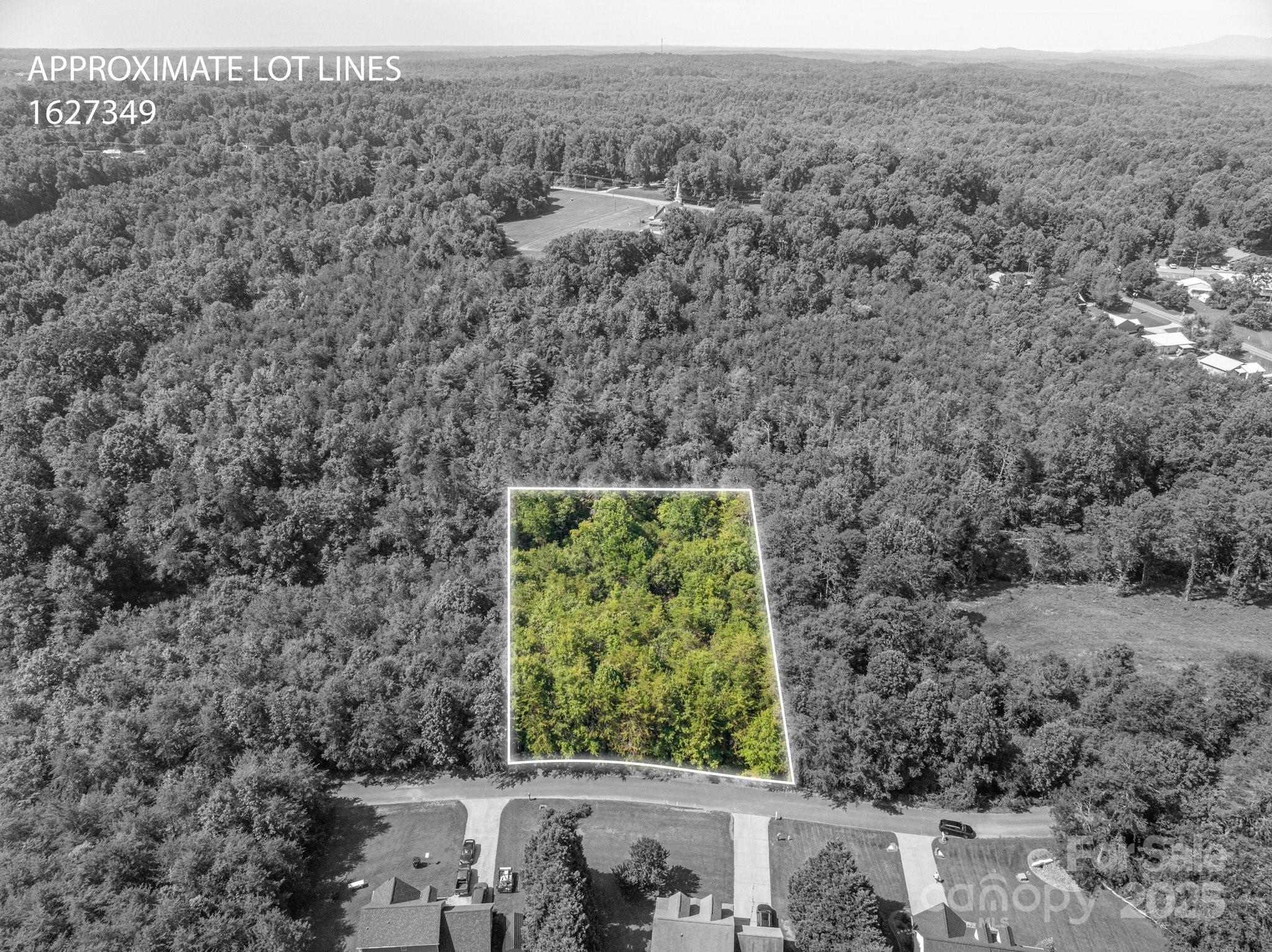 Lot 7 Meadow Crossing Drive Rutherfordton, NC 28139 - Photo 3 of 15 a view of a yard with a tree