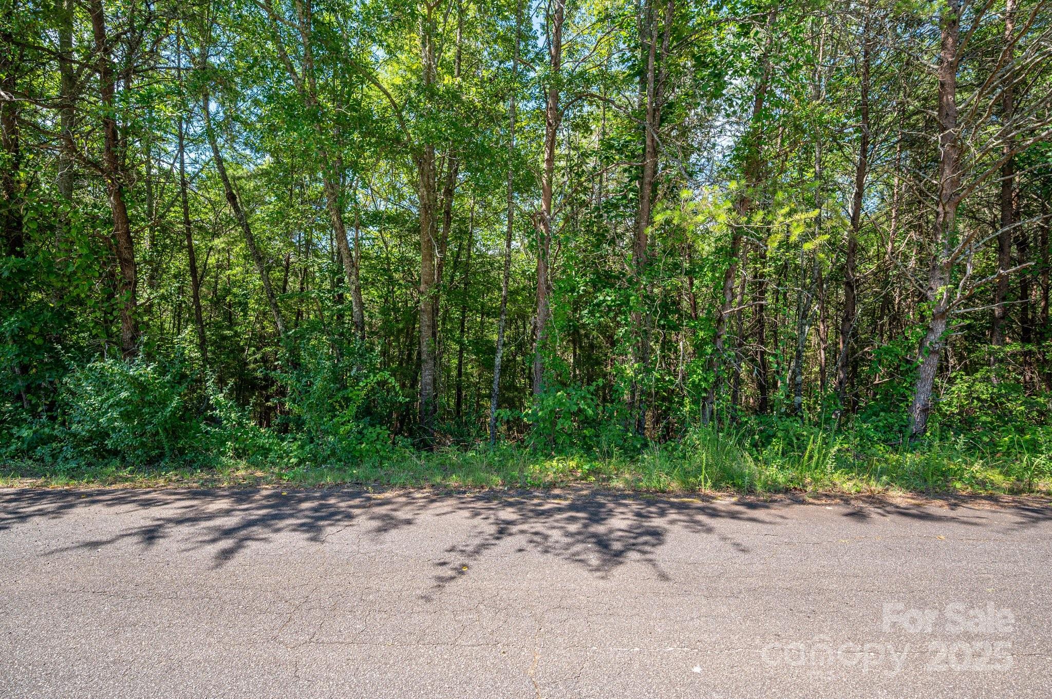 Lot 7 Meadow Crossing Drive Rutherfordton, NC 28139 - Photo 5 of 15 a view of a road with a trees in front of it