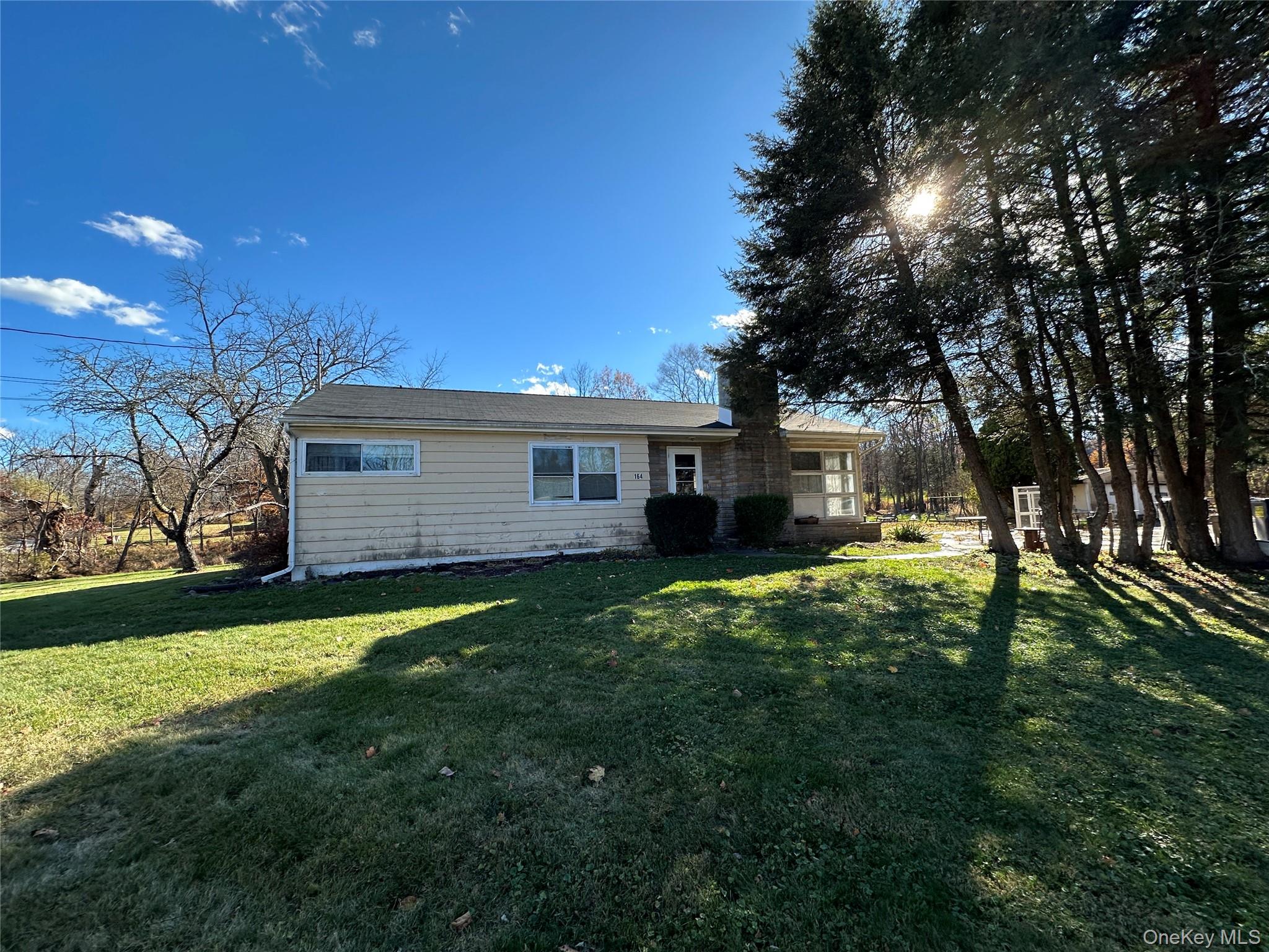 a view of a house with backyard and a tree