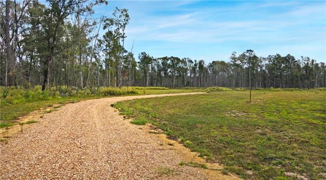 51034 George Road Tickfaw, LA 70466 - Photo 2 of 12