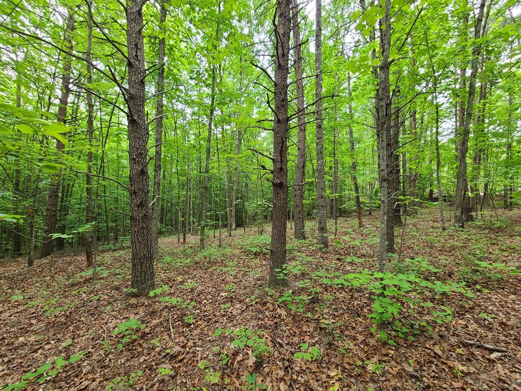 Knights View, Unit 10 Buckingham, VA 23921 - Photo 14 of 27 Gallery Image 14