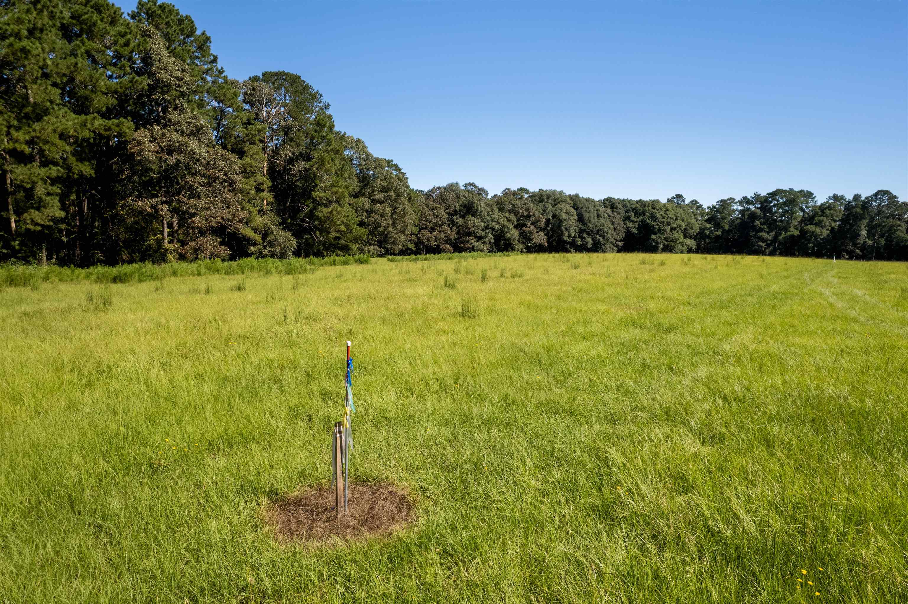 150 Arena Road Perry, GA 31069 - Photo 31 of 31 Gallery Image 31