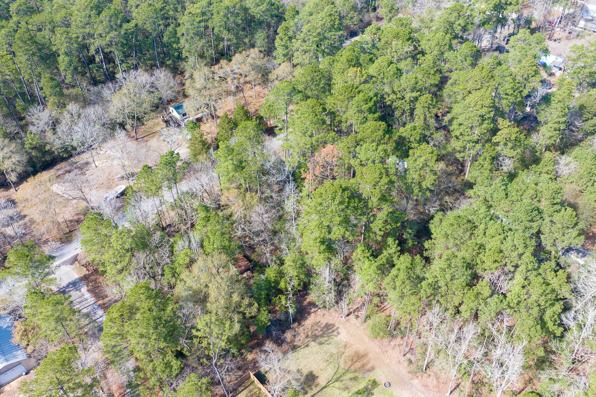 0 Forest Drive Montgomery, TX 77356 - Photo 13 of 29 a view of a forest with a tree