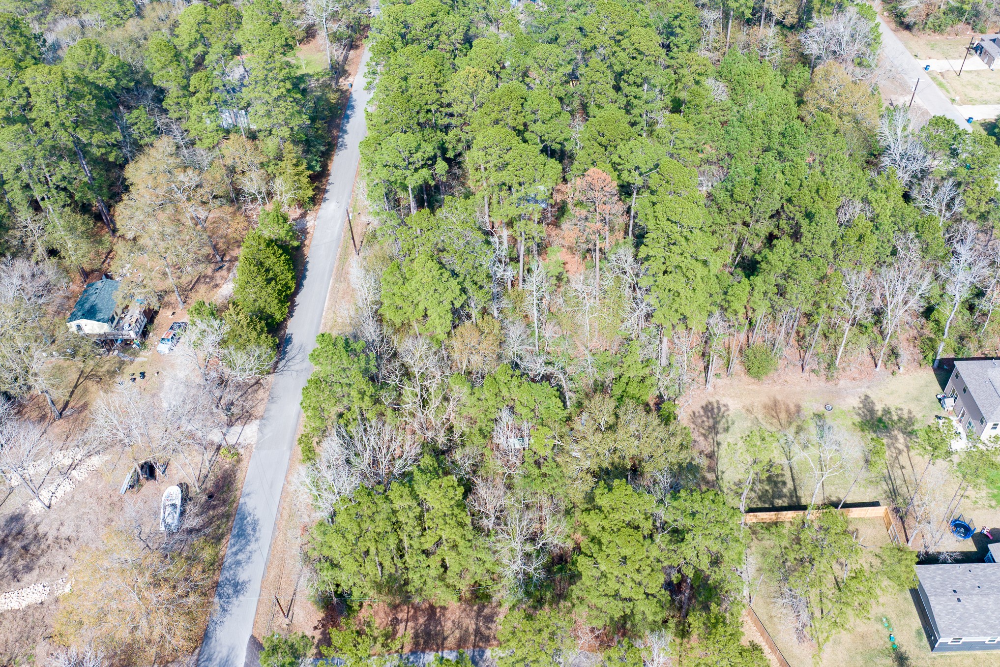 0 Forest Drive Montgomery, TX 77356 - Photo 14 of 29 a view of a yard with plants and a brick wall