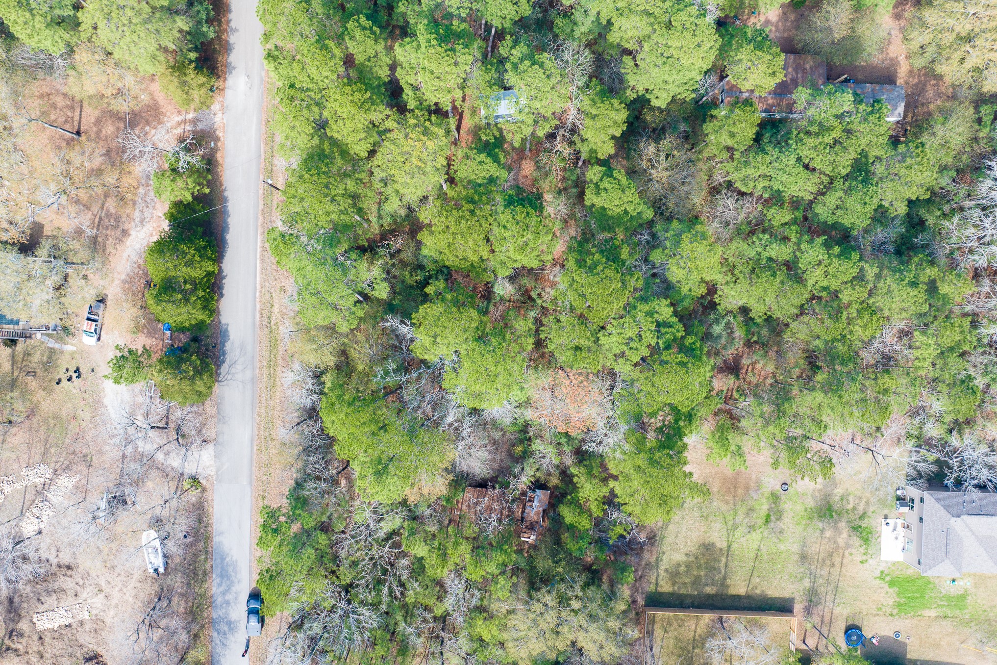 0 Forest Drive Montgomery, TX 77356 - Photo 27 of 29 an aerial view of a yard with plants