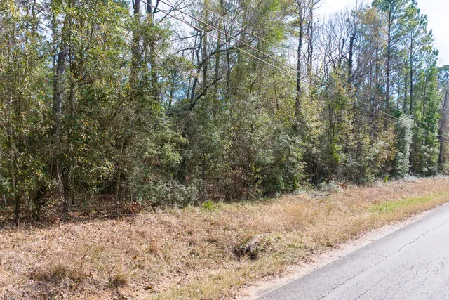 $40,000 | 0 Forest Drive, Montgomery, TX 77356