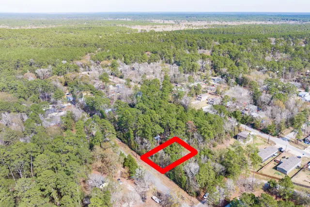 a view of a garden with plants and trees