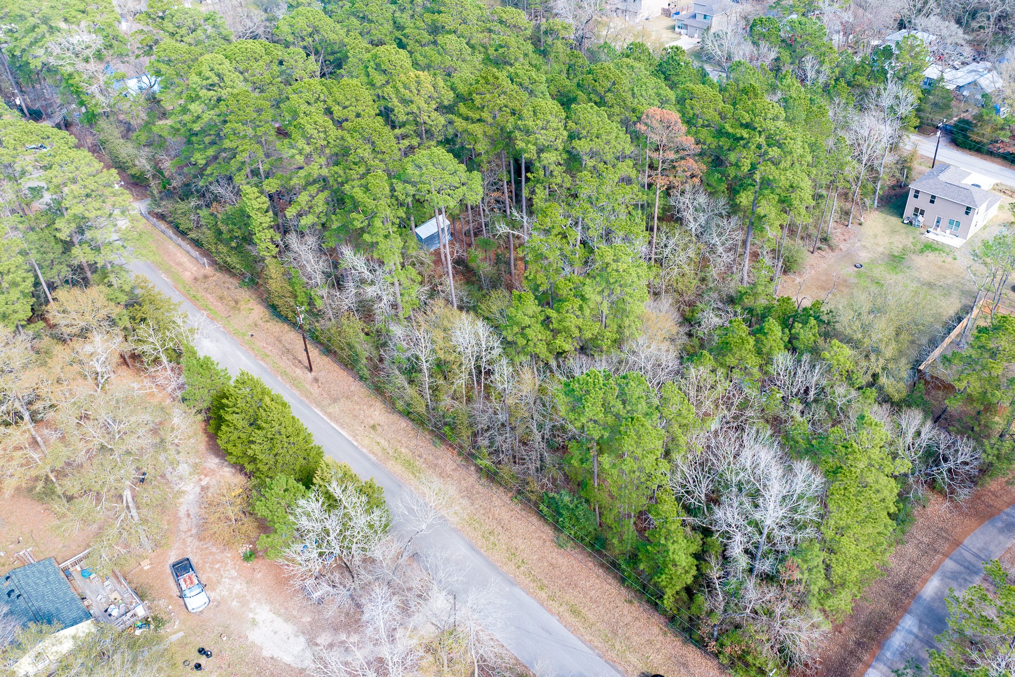 0 Forest Drive Montgomery, TX 77356 - Photo 6 of 29 a view of a garden with plants and trees