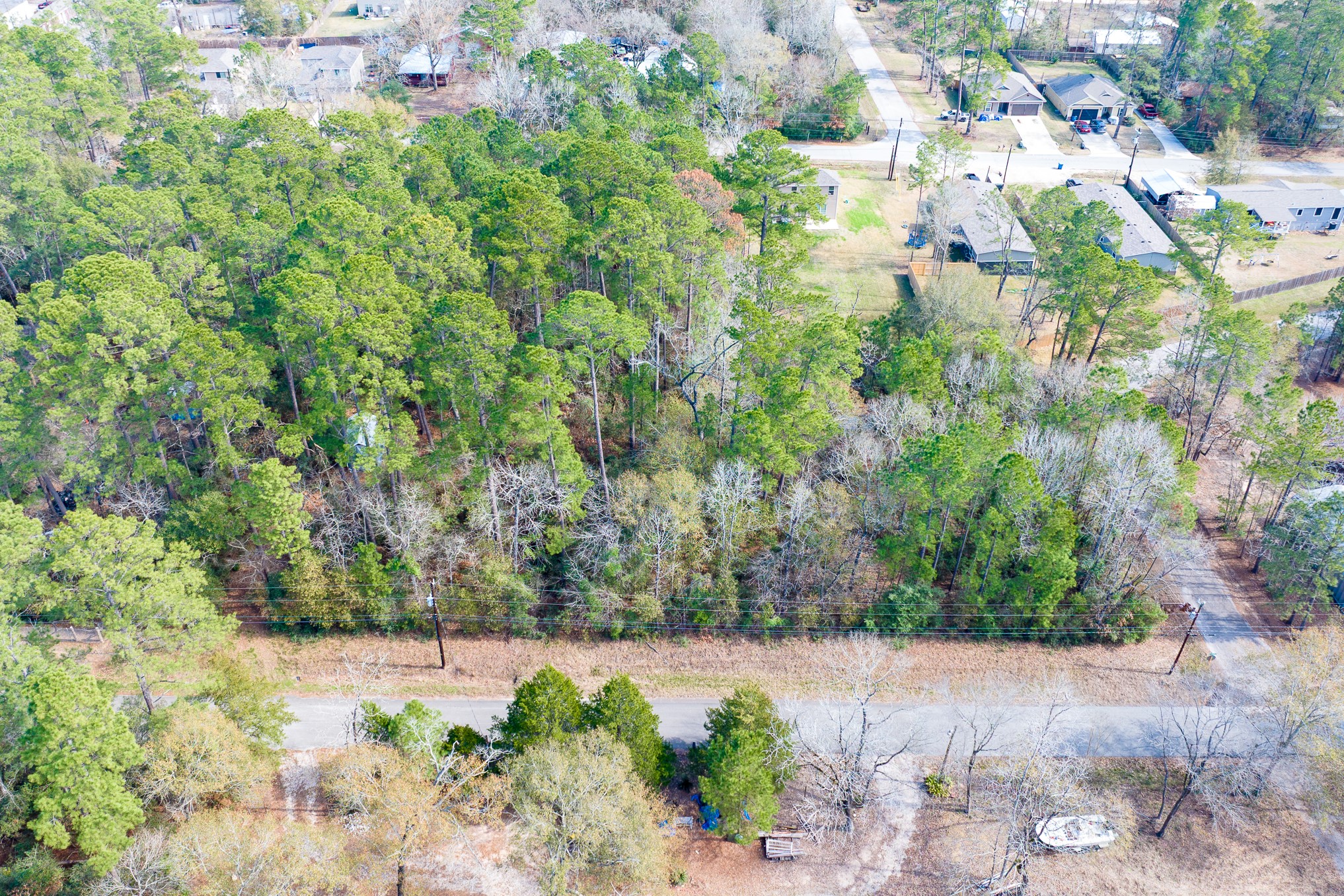 0 Forest Drive Montgomery, TX 77356 - Photo 7 of 29 a view of a garden with a pathway