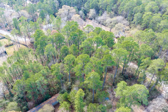 a view of a yard with plants and a bench